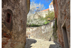 20250404-2-Ptuj-SLO_17-small