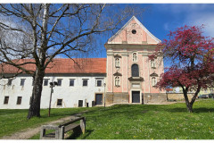 20250404-2-Ptuj-SLO_29-small