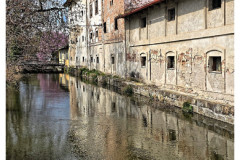 20250405-2-Laa-Thaya-AT_6_new-small