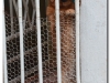 kuba-2011-1-28