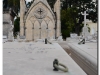 kuba-2011-1-38