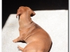kuba-2011-1-44c