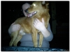 kuba-2011-1-8