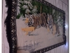 Kuba 2011 3 (46)