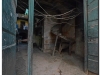 20111130-Kuba-Hawana-13