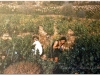 1991-1-cypr-31