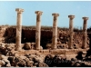 1991-1-cypr-5