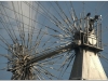 20070603-05-wien-30