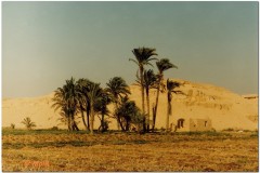 1991-3-Egipt-107c