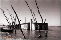 1991-3-Egipt-110