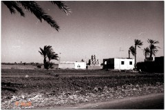 1991-3-Egipt-112