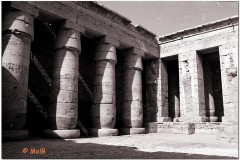 1991-3-Egipt-53