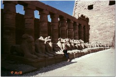 1991-3-Egipt-68