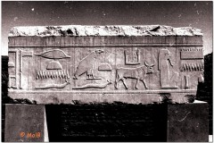 1991-3-Egipt-78