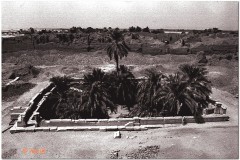 1991-3-Egipt-89