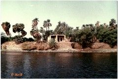 1991-3-Egipt-42