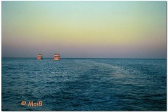 2003-Sharm-11