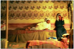 2003-Sharm-16