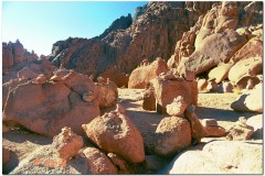 2003-Sharm-30
