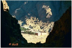 2003-Sharm-32