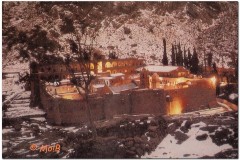 2003-Sharm-33