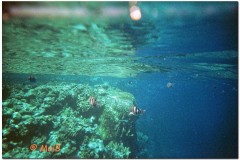 2003-Sharm-3_DxO