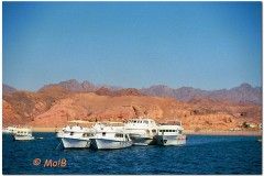 2003-Sharm-8