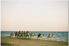 Dahab-10