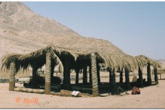 Dahab-19