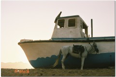 Dahab-26