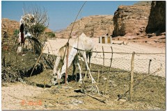 Dahab-54_DxO