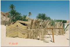Dahab-55