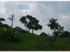 2 Bahar Dar 20090914-15 (12)