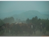 2 Bahar Dar 20090914-15 (16)