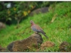 2 Bahar Dar 20090914-15 (13)
