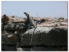 4-ff-axum-yeha-20090918-20-10