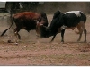 4-ff-axum-yeha-20090918-20-13