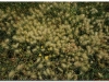 4-ff-axum-yeha-20090918-20-8