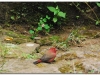5-ff-lalibela-20090921-22-1