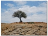 10-20091001-jinka-key-afar-arba-minch-5