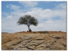 10-20091001-jinka-key-afar-arba-minch-5
