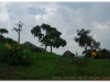 2-bahar-dar-20090914-15-12