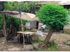 2-bahar-dar-20090914-15-14