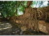 3-gondar-20090916-17-12