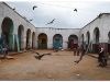 6-harar-17