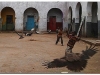 6-harar-19