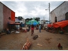6-harar-20