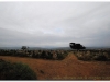 6-harar-33