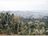 6-harar-36