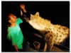 6-harar-38